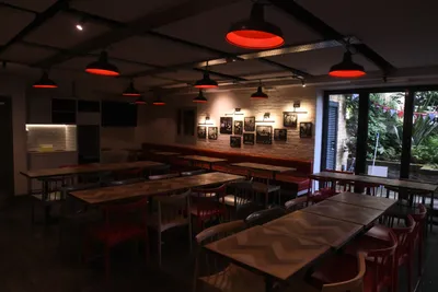 DSC_1667 (Large).JPG